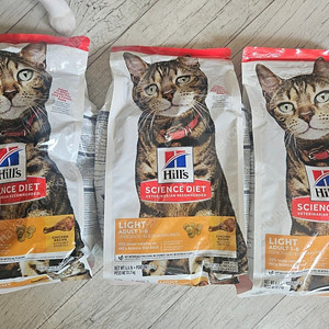 미개봉) 힐스 캣 어덜트 라이트 2kg 다이어트 사료 3개 택포