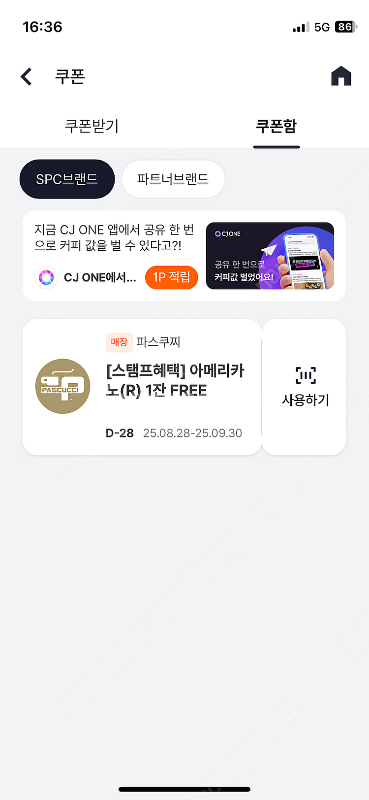 파스쿠찌 아메리카노 쿠폰--0