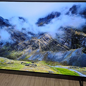 Lg Oled 모니터 tv 42c4kna 42인치