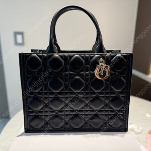 디올 까나쥬 북도트 미듐 팔아요