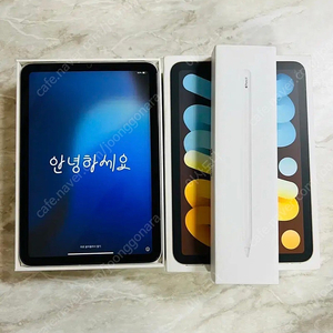S급 아이패드 미니6 셀룰러+애플펜슬 2세대
