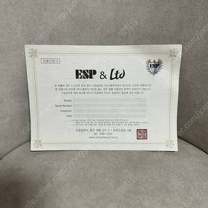 ESP 뱅드림 BanG Dream Random Star Kasumi 토야마 카스미 랜덤스타 일렉기타