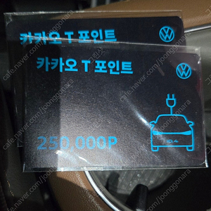 카카오T 포인트