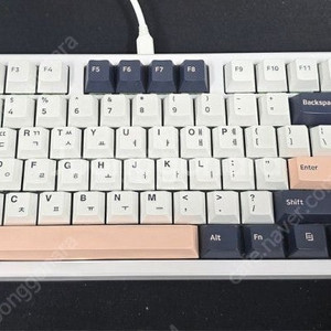 큐센 Q87 PBT 기계식 키보드 (애플민트축 V1, 화이트)
