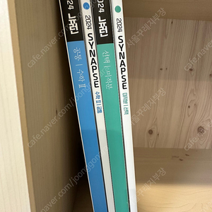 2024학년도 뉴런 시냅스(수2/미적분)