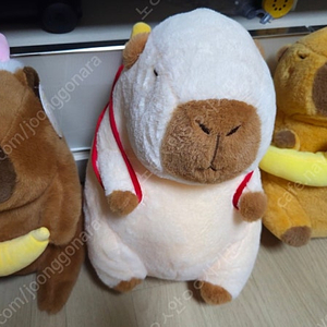 인형. 착불