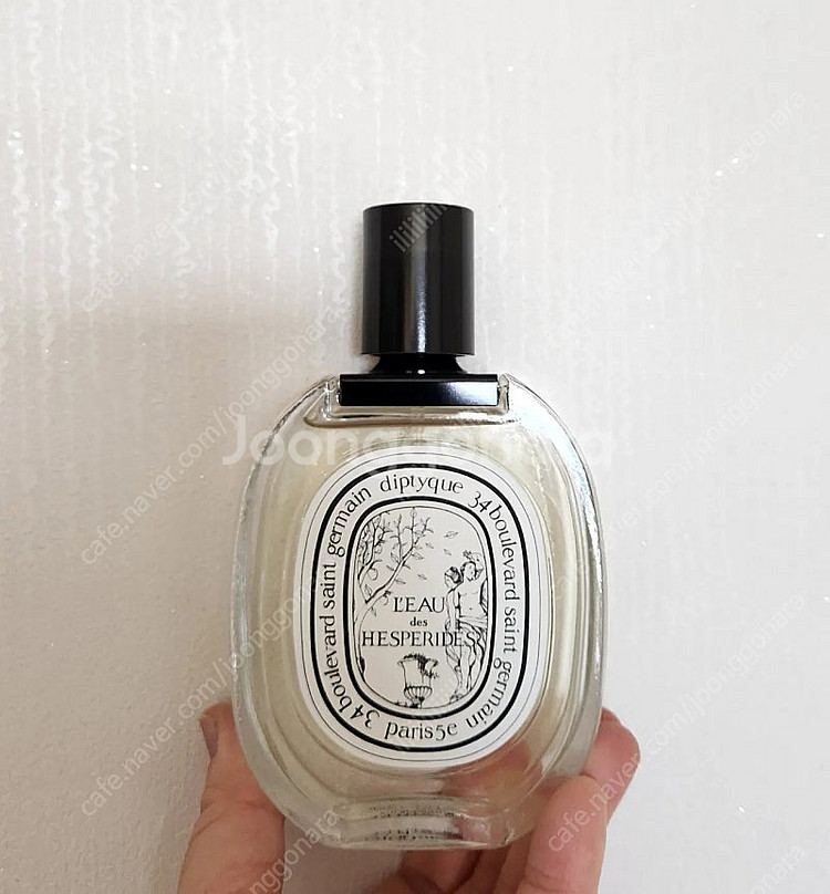 딥디크 로데 헤스페리데스 edt 100ml 새거--0