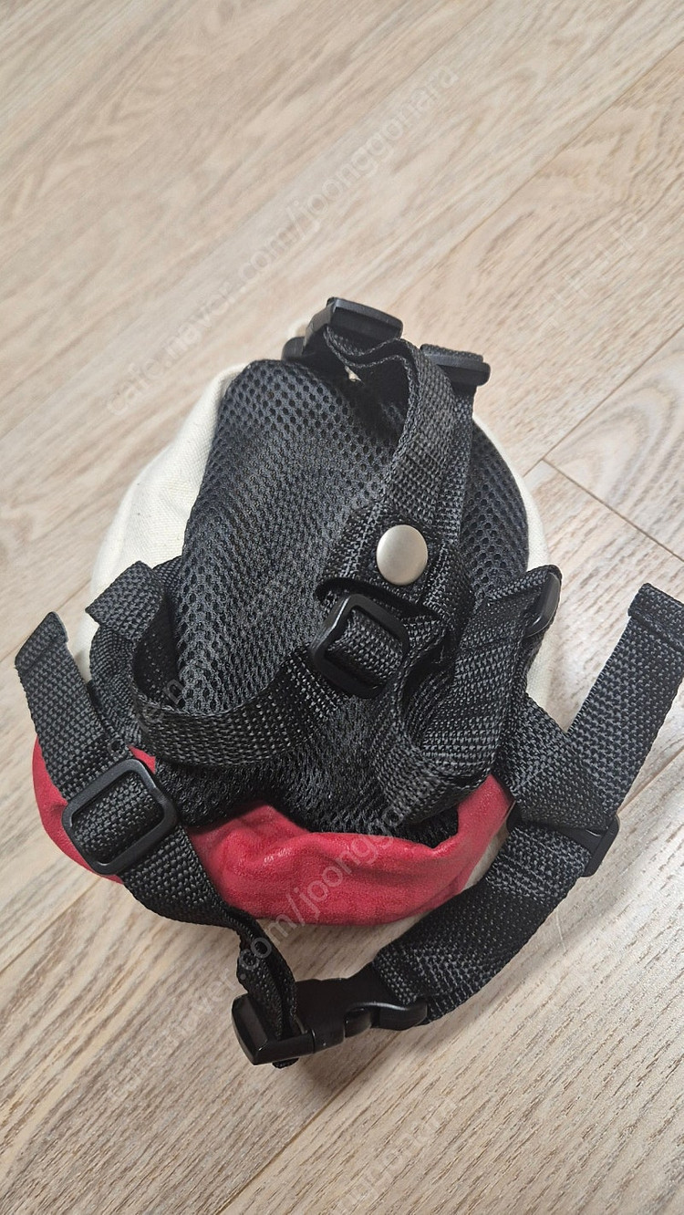 스타벅스 강아지가방 새상품--2