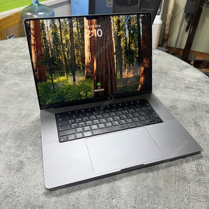 MacBook M1 MAX A2485 판매합니다.