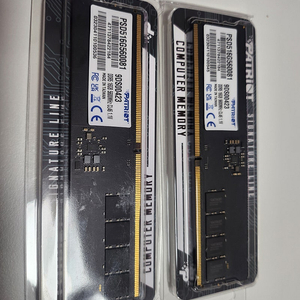 패트리어트 시그니쳐 ddr5 5600 32gb 팝니다
