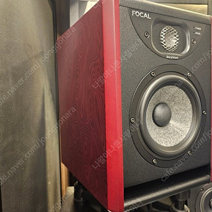 포칼 솔로6, Focla solo6, ST6 신제품(270만)