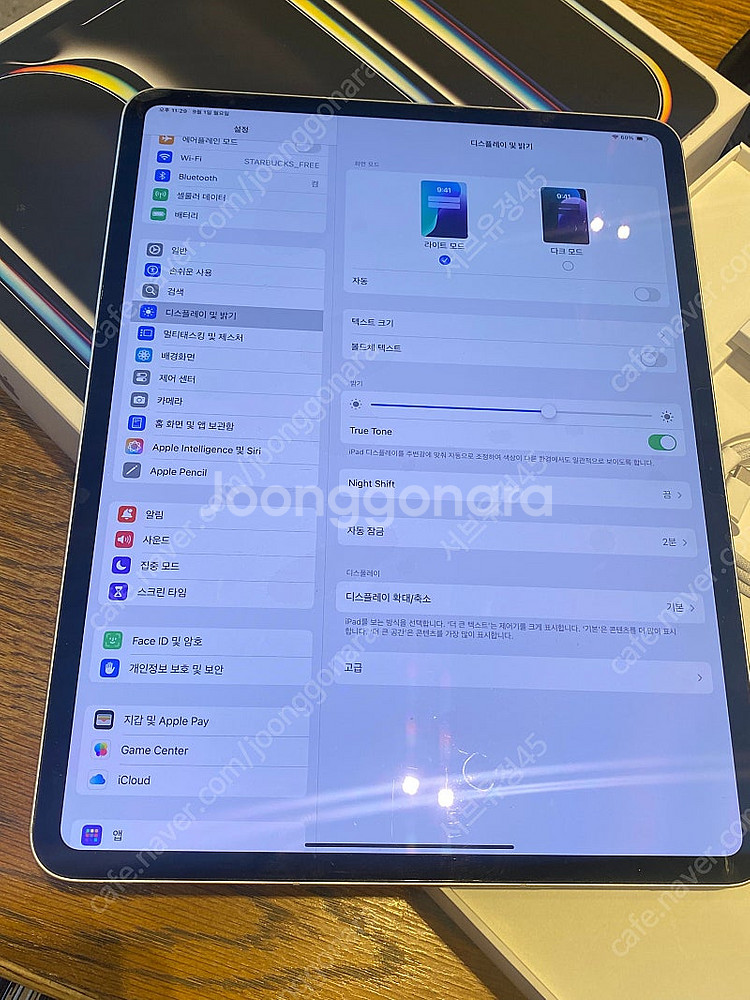 아이패드프로 M4 13인치 실버512GB 셀룰러--3