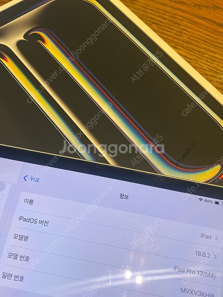 아이패드프로 M4 13인치 실버512GB 셀룰러--4