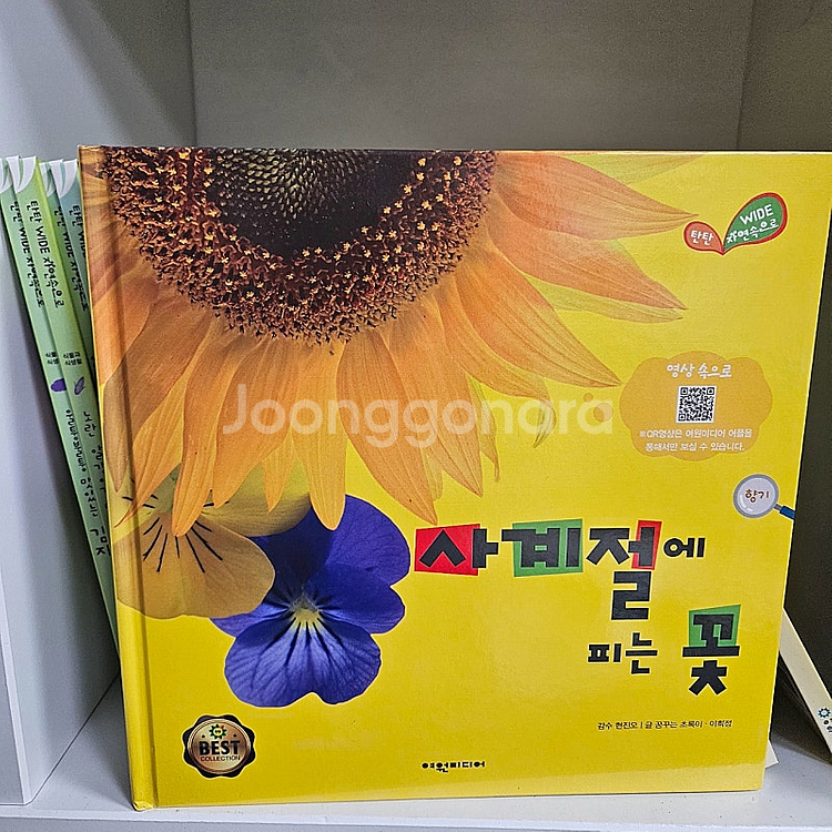 여원탄탄와이드자연속으로101권--3