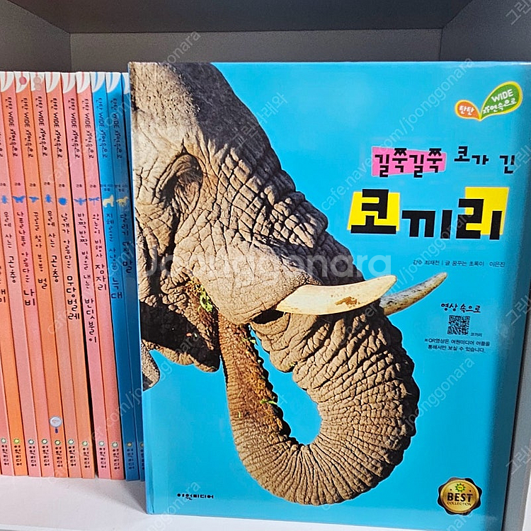 여원탄탄와이드자연속으로101권--4