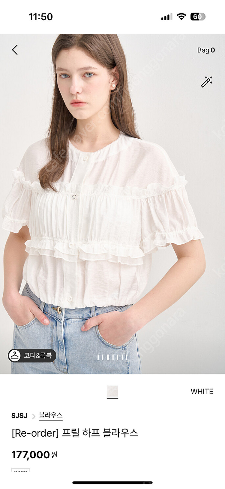 SJ 프릴 블라우스 76(44)--0