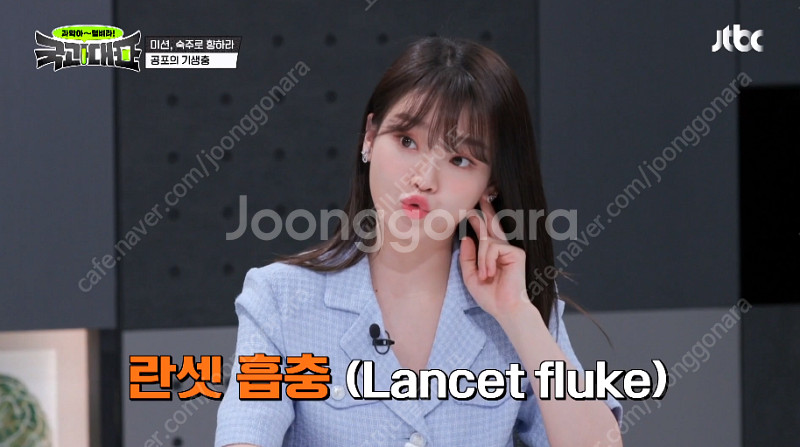 룩캐스트 블루 사라 크롭 트위드 자켓 (완전 새것, 미...--2