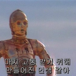 스타벅스 아메리카노 5잔 팝니다