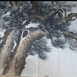 진품 芝園(지원) 박재현 芝園 朴宰賢 소나무 작품 1천500만원 짜리를 250만원에 드림니다