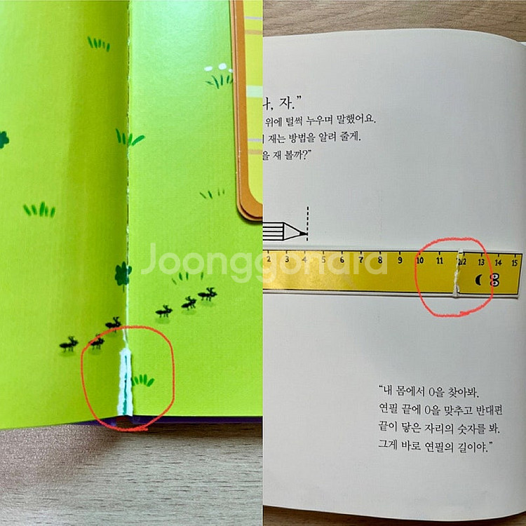 그레이트북스 내친구 수학공룡 42권--2