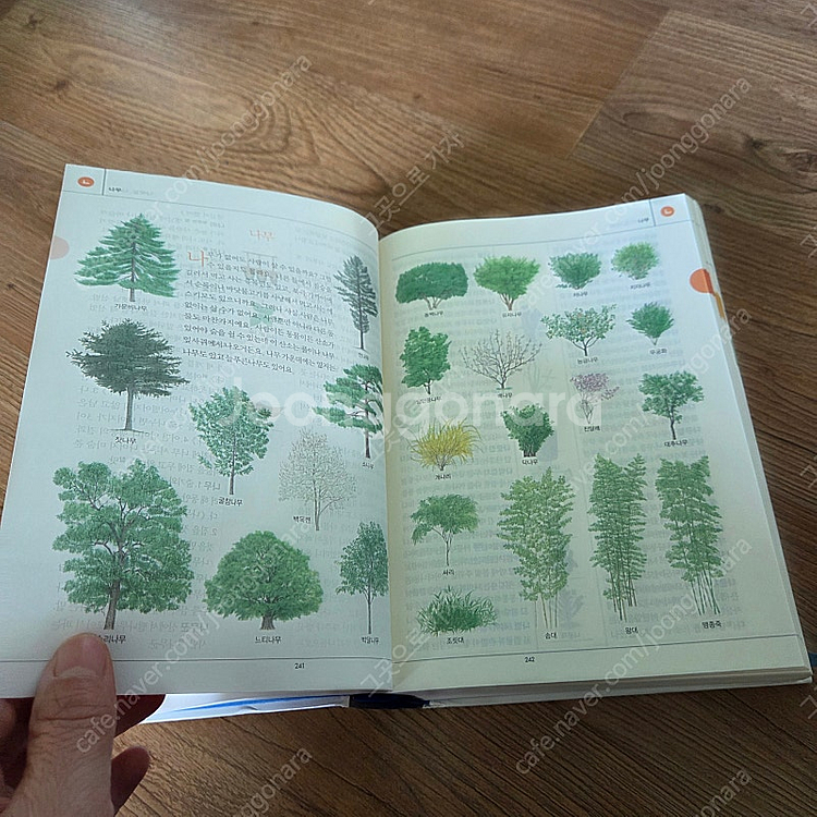 보리국어사전--2