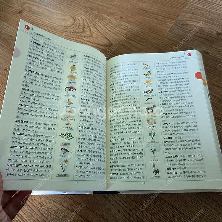 보리국어사전--3