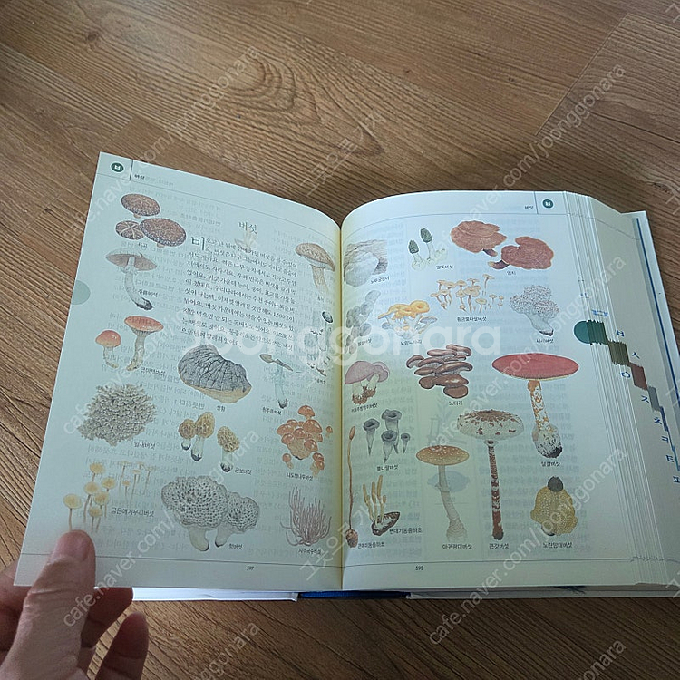 보리국어사전--4