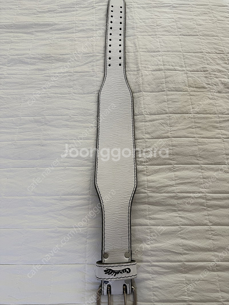 카딜로310 화이트 xs--0