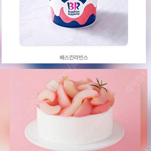 투썸플레이스 케이크 배스킨라빈스 파인트 쿼터 아이스크림 배스킨 배라 모바일상품권 피치생 스초생 망고생 투썸 스트로베리 초콜릿 생크림 케잌 기프티콘 베스킨라빈스 베스킨 베라 패밀리