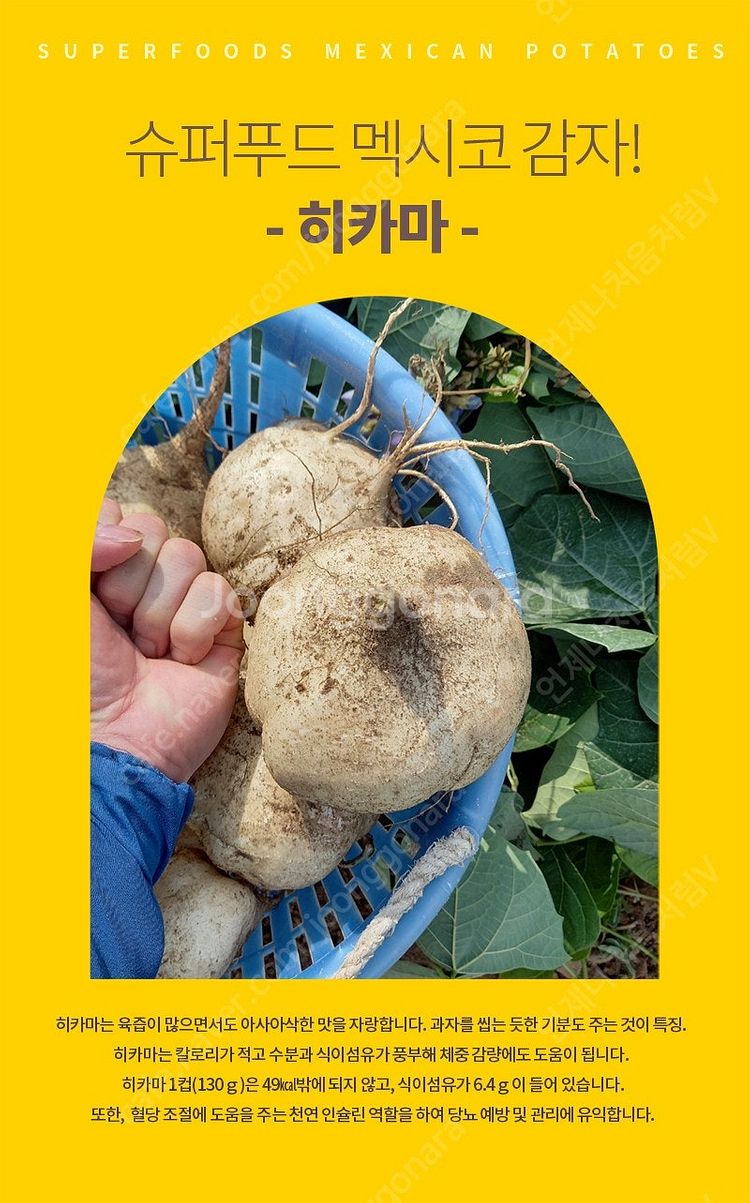 직접재배 당뇨 다이어트에 도움되는 세계20대 건강푸드식...--0