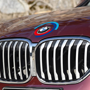 BMW 후드 트렁크 로고 데칼 스티커