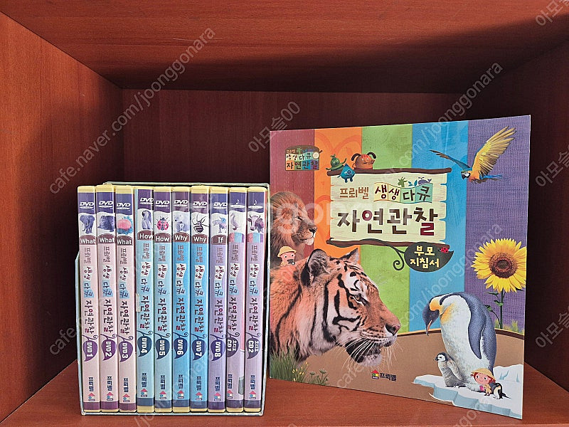 프뢰벨 생생다큐 자연관찰 50권,부모지침서 택포--2