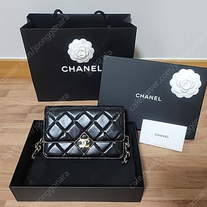 샤넬 WOC 양도 희망합니다. 2021년 8월 구매입니다.