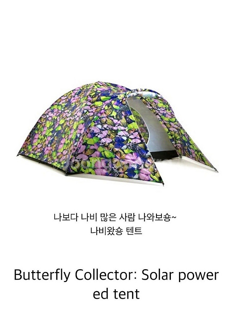bang bang 텐트 버터플라이 새상품--1