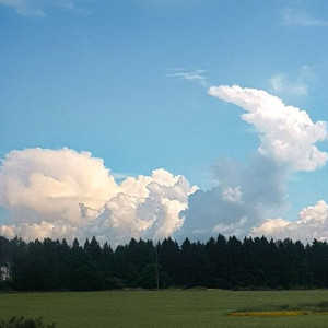 산타토익 2주 정도 양도 받아요