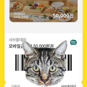 샤브올데이 5만원권 저렴하게 판매해요!!