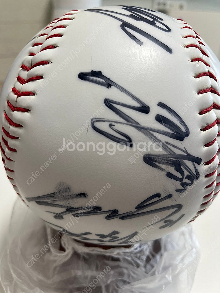 빙그레이글스 대형구--1