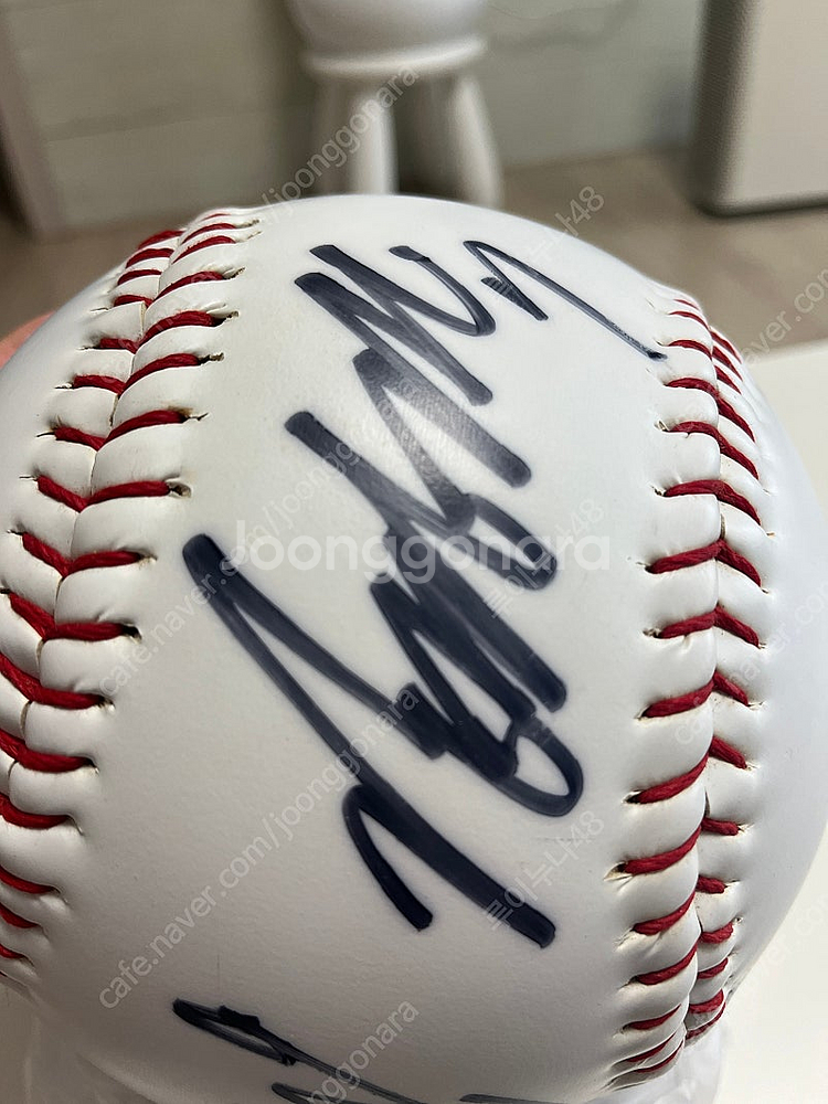 빙그레이글스 대형구--2