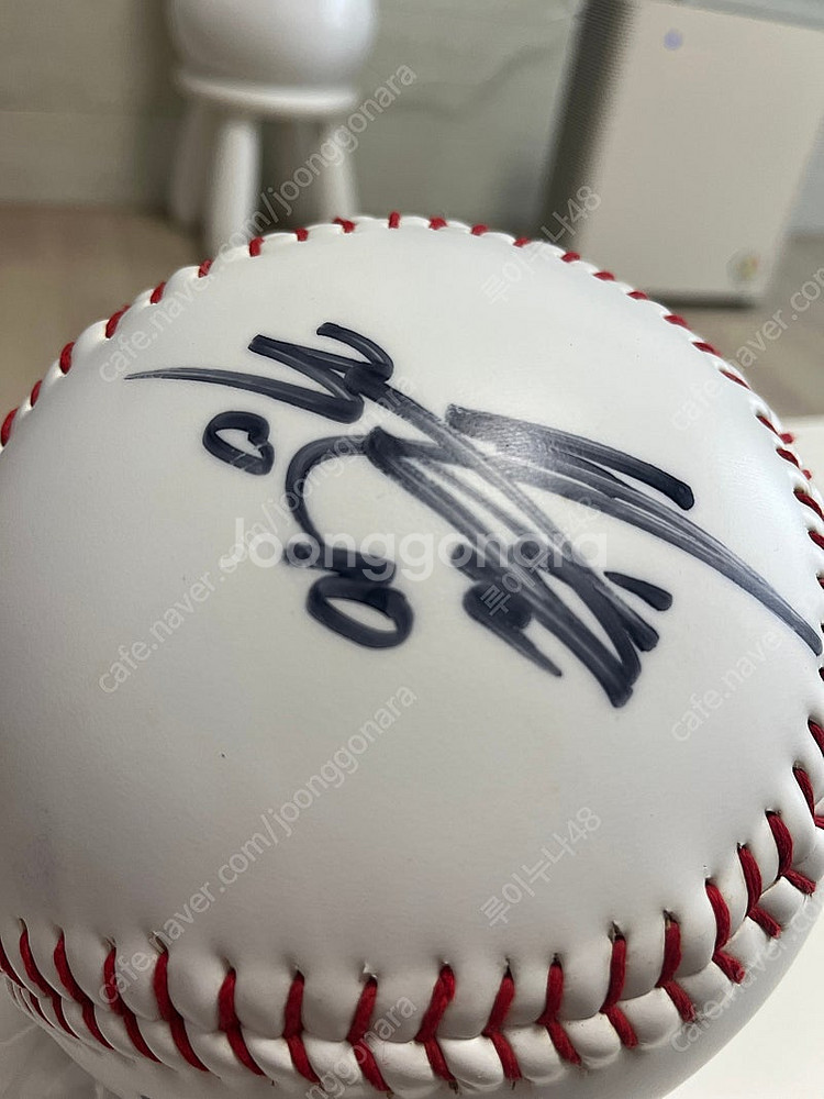 빙그레이글스 대형구--3