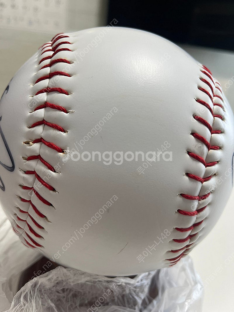 빙그레이글스 대형구--4