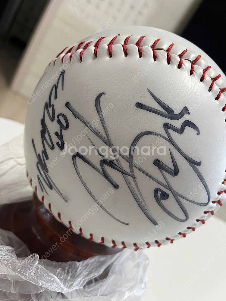 빙그레이글스 대형구--5