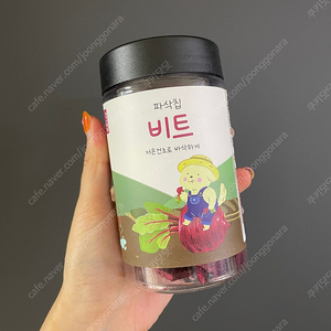 강아지 동결건조 간식 파삭칩 비트 새제품