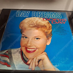 <수입 LP> 도리스 데이 Doris Day 엘피