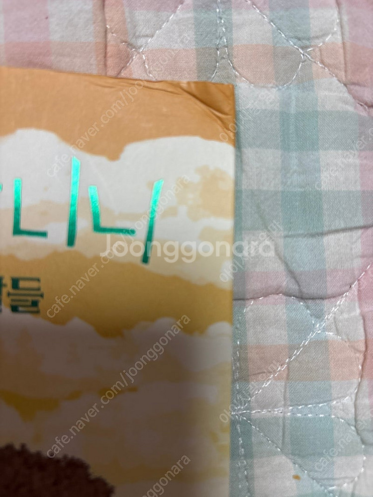 푸른사자 와니니8--1