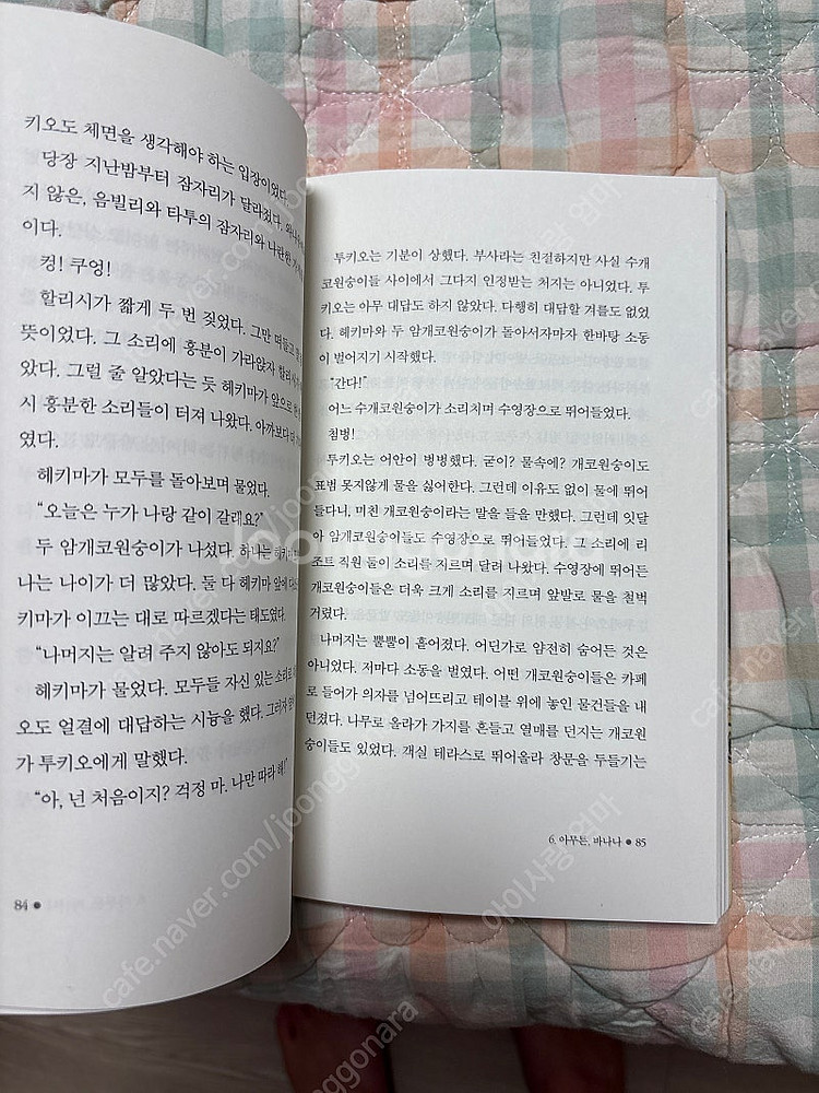 푸른사자 와니니8--2