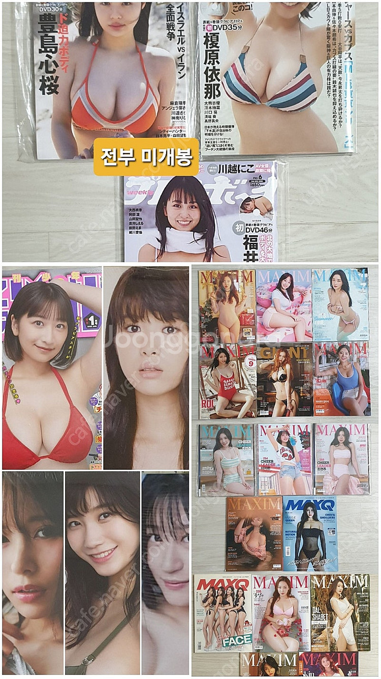 맥심/맥스큐/일본 화보집 사진집--0