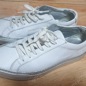 커먼프로젝트 아킬레스 한정판 36(230~235)