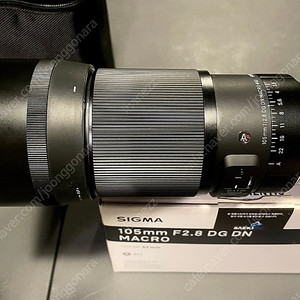 시그마 아트 dgdn 105mm 마크로 렌즈 소니