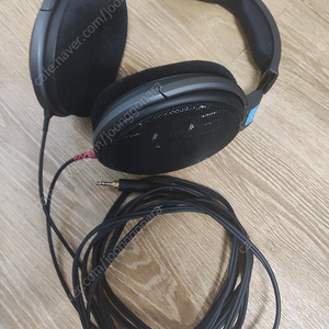 Hd600