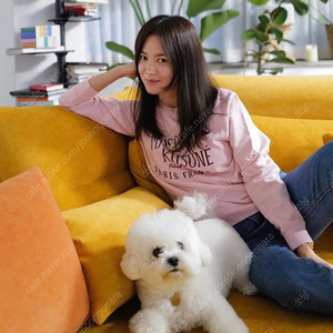 메종키츠네 송혜교 핑크맨투맨
